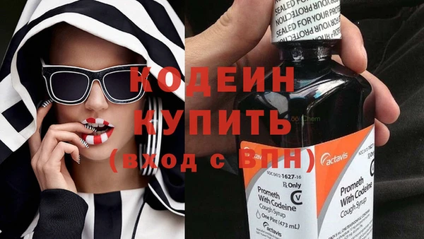 хмурый Алзамай