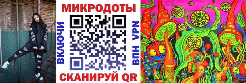 купить   Куса  Псилоцибиновые грибы Magic Shrooms 